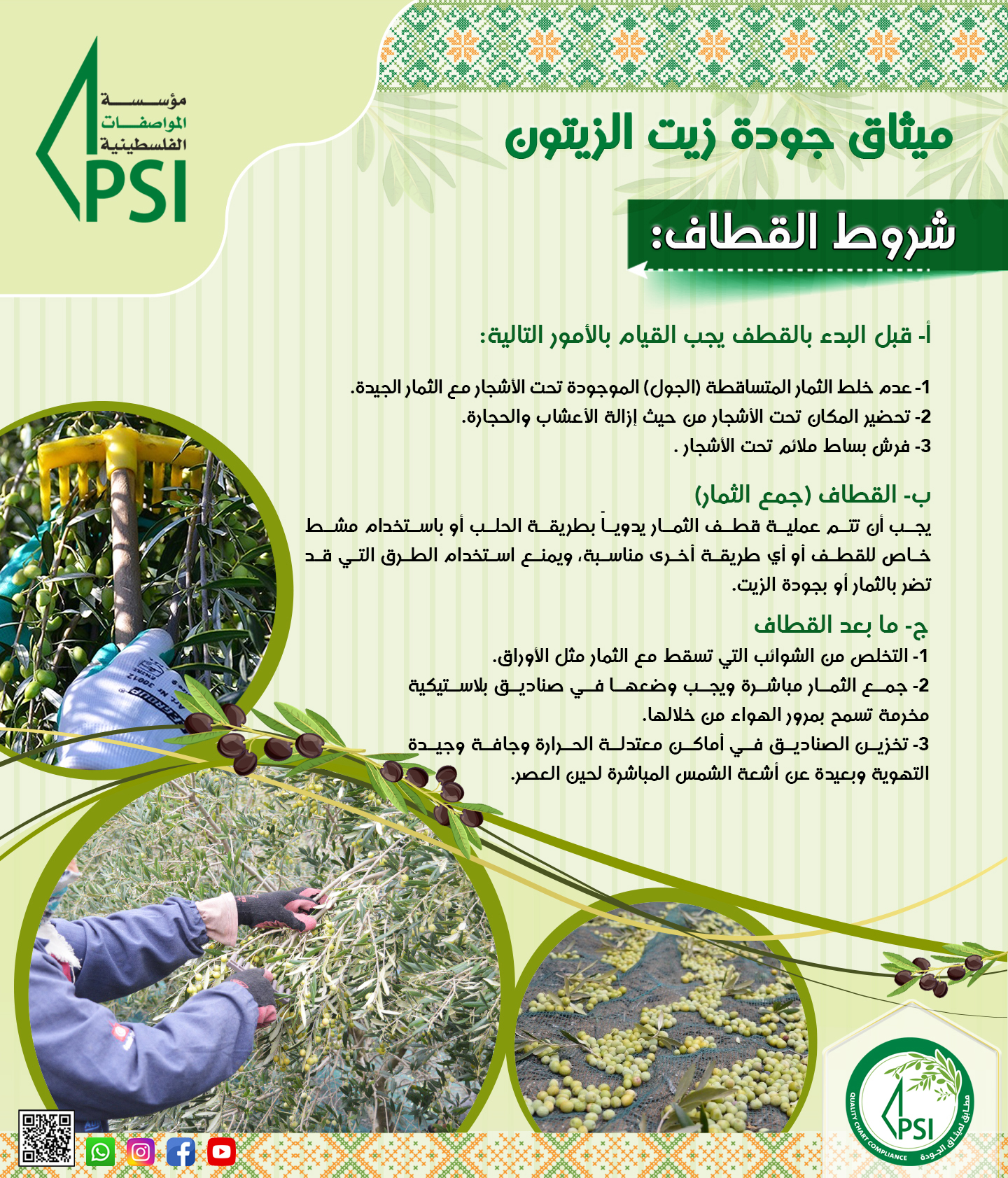 حملة توعوية لجودة زيت الزيتون