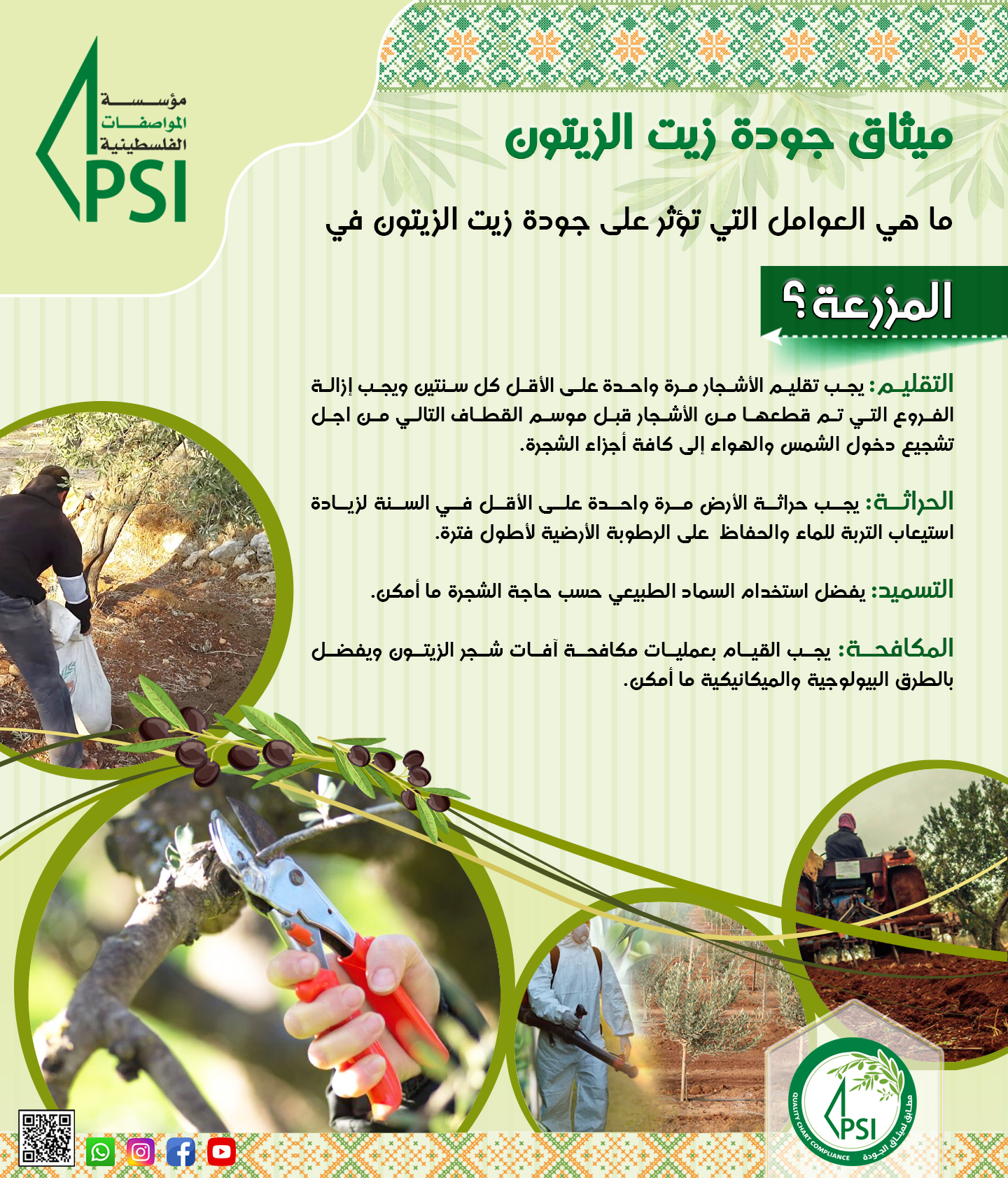 حملة توعوية لجودة زيت الزيتون